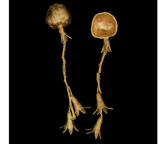 Table Art - Pomegranate Spoons - set of 2 | Olympia, WA Fine Art and Craft, since 1971